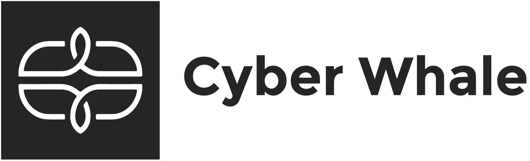 Societatea cu Răspundere Limitată "CYBER WHALE" — Company logo